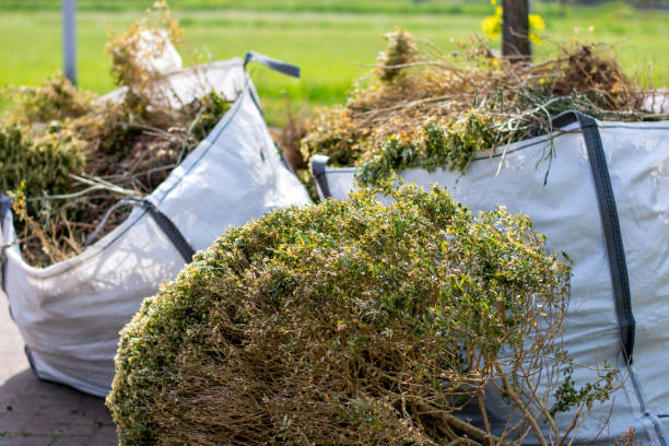 Best Office Junk Removal  in Struthers, OH